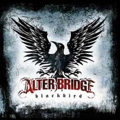 CD Alter Bridge - Blackbird