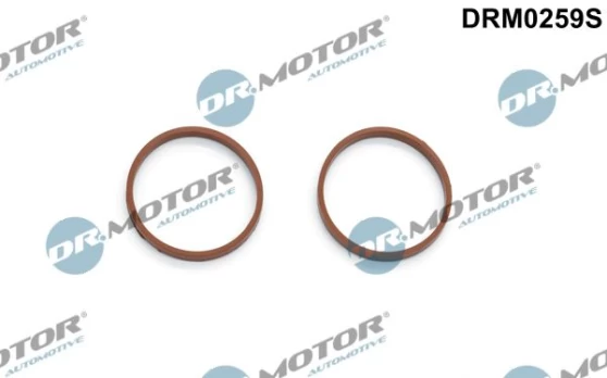 Tarpiklių rinkinys, įsiurbimo kolektorius Dr.Motor Automotive DRM0259S