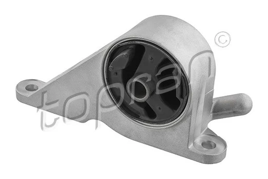 Variklio montavimas TOPRAN 208 392