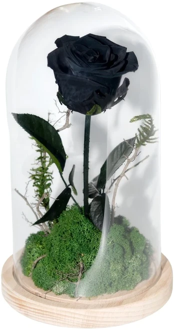 Tikra amžina rožė stikle L - 24cm Juoda las