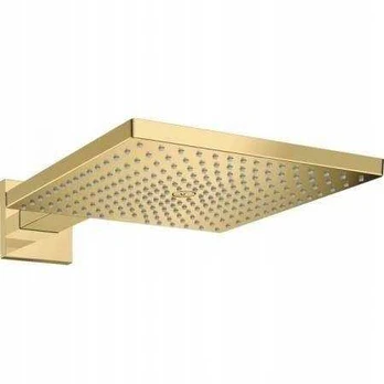 Dušo panelė Hansgrohe