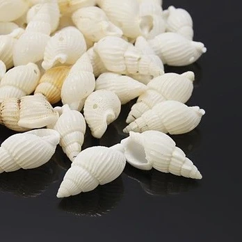 Kriauklelės su skylute 50g.