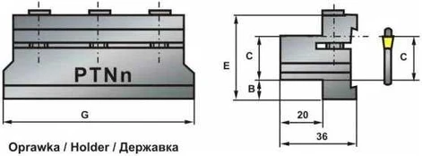 Pafana PTNN-20 ŽIBINTINĖ