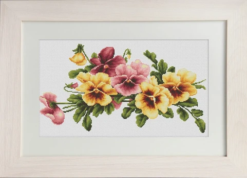 Pansies SBM3004