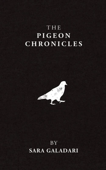 Pigeon Chronicles