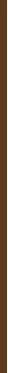 Essence Liquid bronzer Vanduo Dew Serum Bronzer 3.5 ml