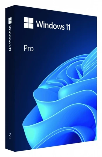 Operacinė sistema Microsoft Windows 11 Pro, 64-bit, lenkiška versija, USB laikmena, BOX