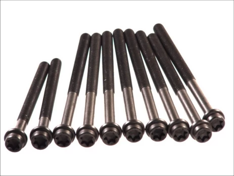 ELRING EL027850 Cylinder head bolt set