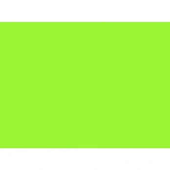 Spalvotas popierius 80g A4/100l Fluo žalias