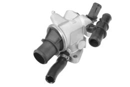 Termostatas, aušinimo skystis BorgWarner (Wahler) 410591.88D kaina