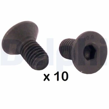 DELPHI BGK008 Brake Disc fitting bolts