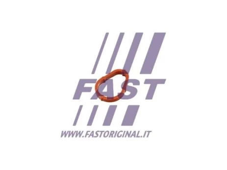 Tarpiklis, vakuuminis siurblys FAST FT50702
