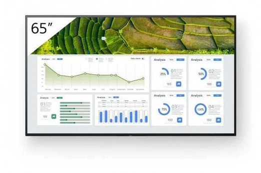 Monitorius Sony FW-65BZ30L