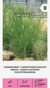 Smilgos paprastosios