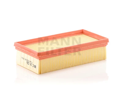 Oro filtras C24026