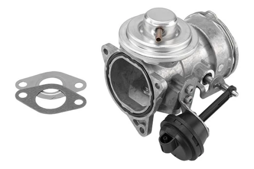 ERG vožtuvas BorgWarner (Wahler) 7327D/1