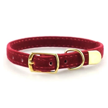 Zoo Mini antkaklis katėms ir šunims, raudonas; 22-27cm