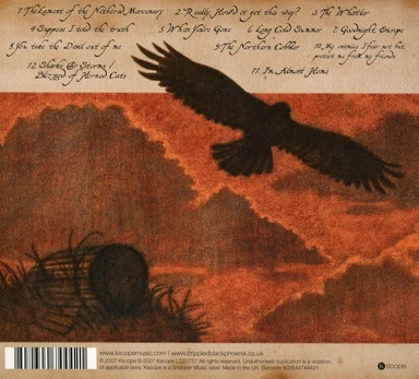Vinilinė plokštelė A Love of Shared Disasters