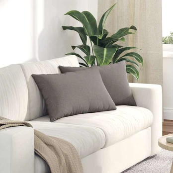 Sofa Pagalvės 2 pcs Taupe 60 x 40 cm audinys