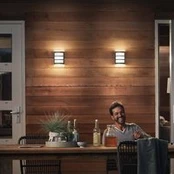 "Philips" LED lauko sieninis šviestuvas "Python UE", pilkos spalvos