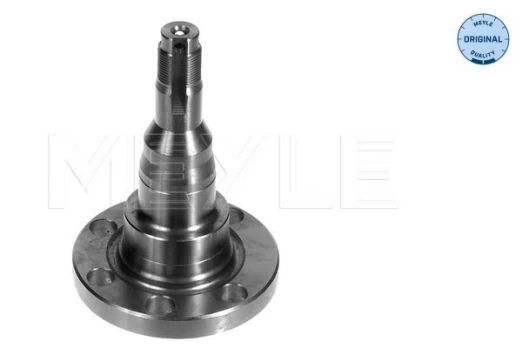 MEYLE 100 501 1010 Stub axle