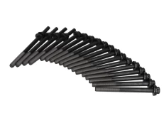 REINZ 14-32279-01 Cylinder head bolt set kaina