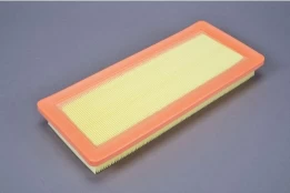 Oro filtras AUTOMEGA 180031010 kaina