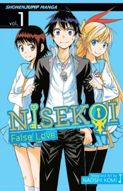 Nisekoi: False Love, Vol. 1 kaina