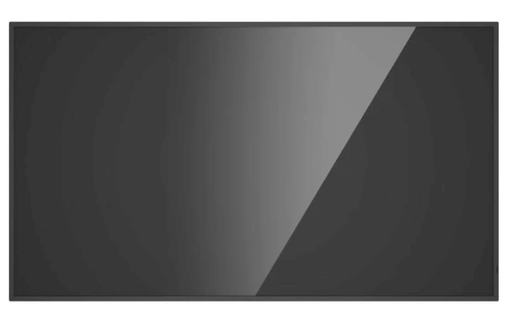 Monitorius SP 65\" DS-D6065UN