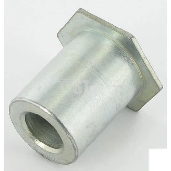 Guolio Įvorė
