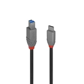 USB kabelis Lindy USB-C - USB-B 1 m Juoda (36666) kaina