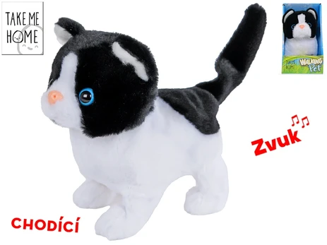 04413 FUNKCINIS PLIŠINIS KATINAS