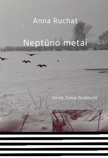 Neptūno metai
