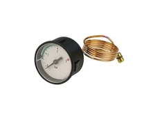 Manometras Vaillant 101271