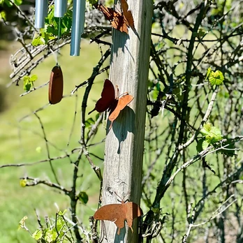 Sodo tvorelė, 3 rusty holey wing butterflies