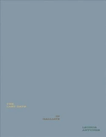 Leonor Antunes: The Last Days in Galliate