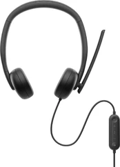 Ausinės Dell WH3024 kaina