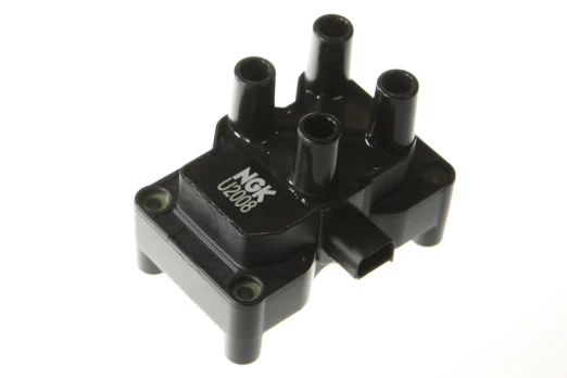 Ritė, uždegimas NGK 48027