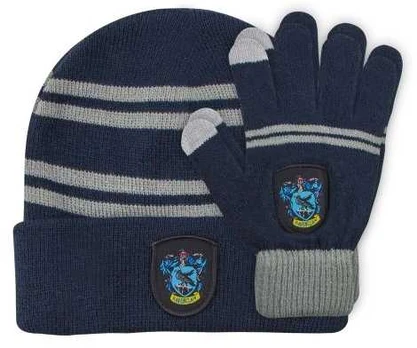 Vision Ravenclaw hue og handsker, voksen