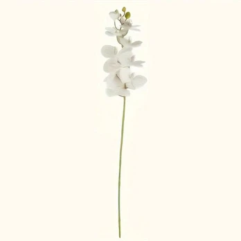 Dirbtinė orchidėja su šakelėmis