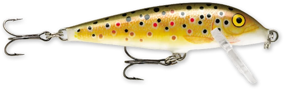 Rapala vobleris Countdown TR 11 cm