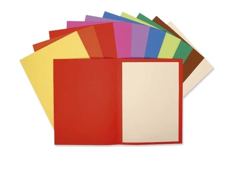 Exacompta 160001E, Conventional file folder, A4, Carton, Multicolour, 220 g/m², 240 mm
