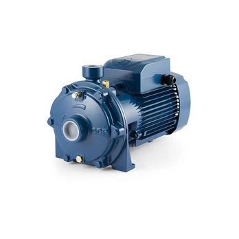 Dvipakopis siurblys Pedrollo 2CP 32/210B 400V