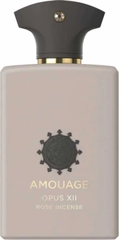 Amouage Library Collection Opus XII Rose Incense EDP U 100 ml kaina