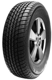 Mastersteel Winter + 245/45 R18 100H XL