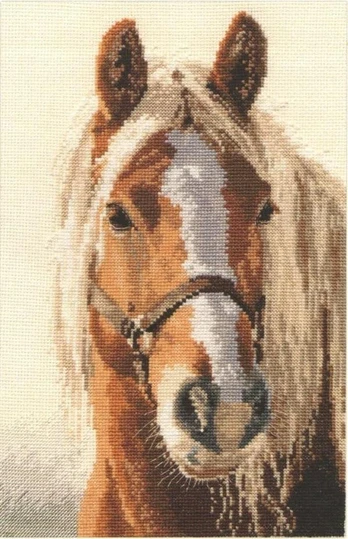 Beldizart Adelis S1-17