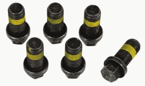 SACHS 1874 000 069 Flywheel bolt kit kaina