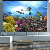 Artgeist Fototapetas - Coral reef kaina
