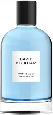Kvapusis vanduo David Beckham Infinite Aqua, 100 ml kaina