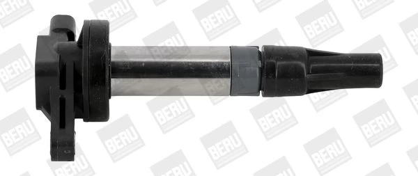 Ritė, uždegimas BorgWarner (BERU) ZSE196